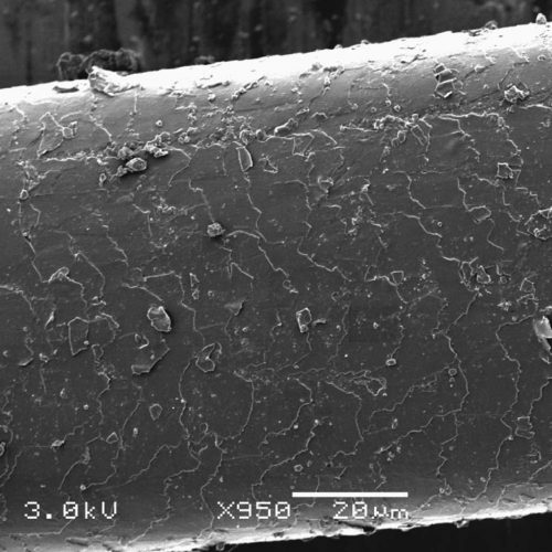MICROMARTRE-web MICROMARTRE-web
